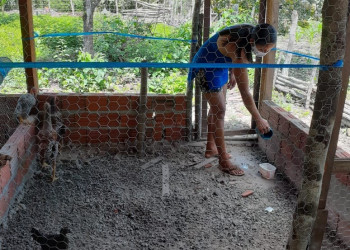 Mulheres de comunidade quilombola ampliam renda com a venda de produtos agroecológicos